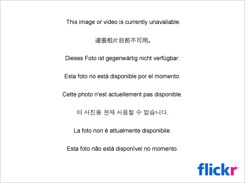 327309348_cd813d72c2-5628484