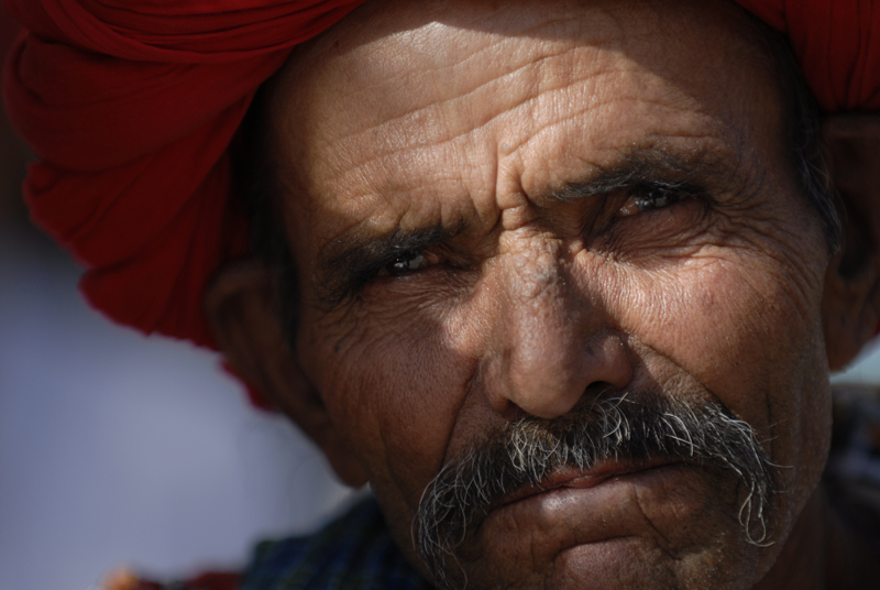 A Journey Through Time and Majesty – Rajasthan, India